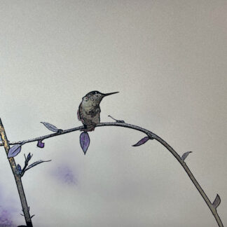 Hummingbird watching from a branch in this 12"x18" ink and metallic watercolor study.