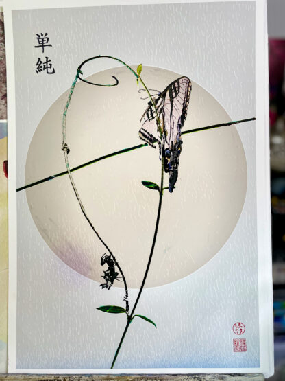 単純 “Simplicity” Spider and butterfly against a circular background.