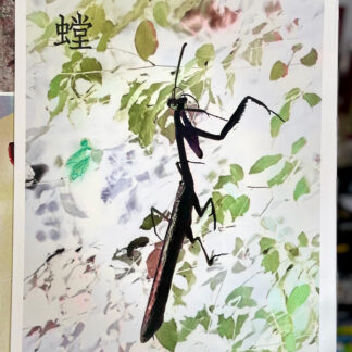 螳 Mantis 12”x18” Enhanced print in Ink/watercolor/metallics.