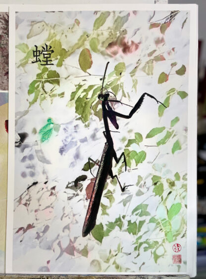 螳 Mantis 12”x18” Enhanced print in Ink/watercolor/metallics.