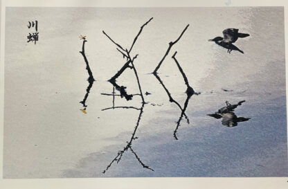 川蝉 Kingfisher 12”x18” Enhanced print in Ink/watercolor Kingfisher flying reflected on water with partially submerged branches. An amber dragonfly perches on a stick nearby.