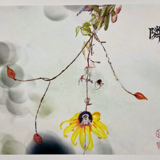 隣 Neighbor 12”x18” Enhanced print in Ink/acrylic/watercolor/metallics. Spider hangs on a thread from dangling foliage above a bumblebee on a black-eyed susan.