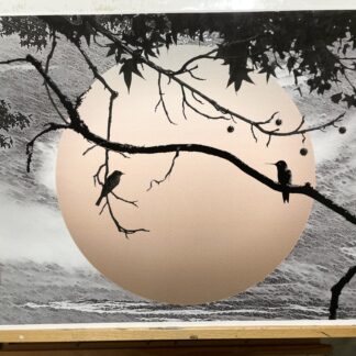 聖域 “Sanctuary” Hummingbird and songbird silhouetted against a gradients sphere over a windy sky.