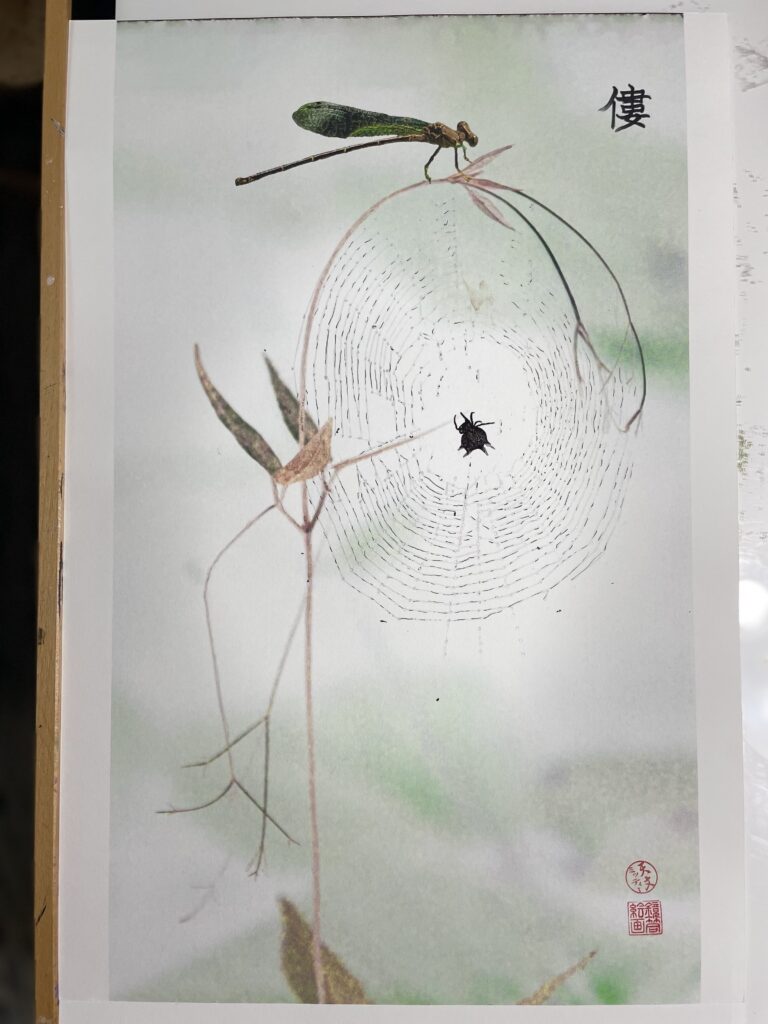 僂 “Bend” Tiny orb weaver in web and perched damselfly conspire to bend a thin vine.