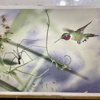 好奇心 “Curiosity” – Hovering hummingbird and spider regard each other from a safe distance against a backdrop of abstract watercolor flowers.