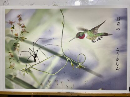 好奇心 “Curiosity” – Hovering hummingbird and spider regard each other from a safe distance against a backdrop of abstract watercolor flowers.