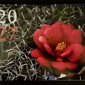 2027 Photography Calendar