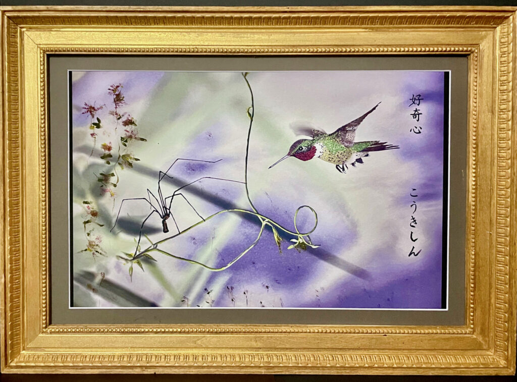 "Curiosity" Framed Art Print.