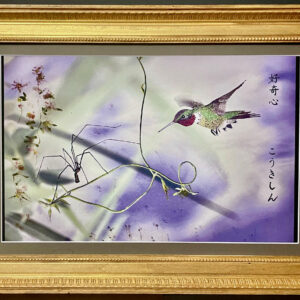 "Curiosity" Framed Art Print.