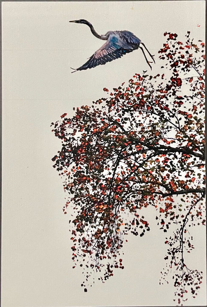 Set of 12  4"x6" Notecards featuring an inked print of a Great Blue Heron leaping from a treetop, with a blank reverse side.
