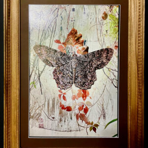 "Moth" Framed Art Print