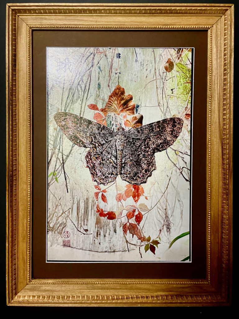 "Moth" Framed Art Print