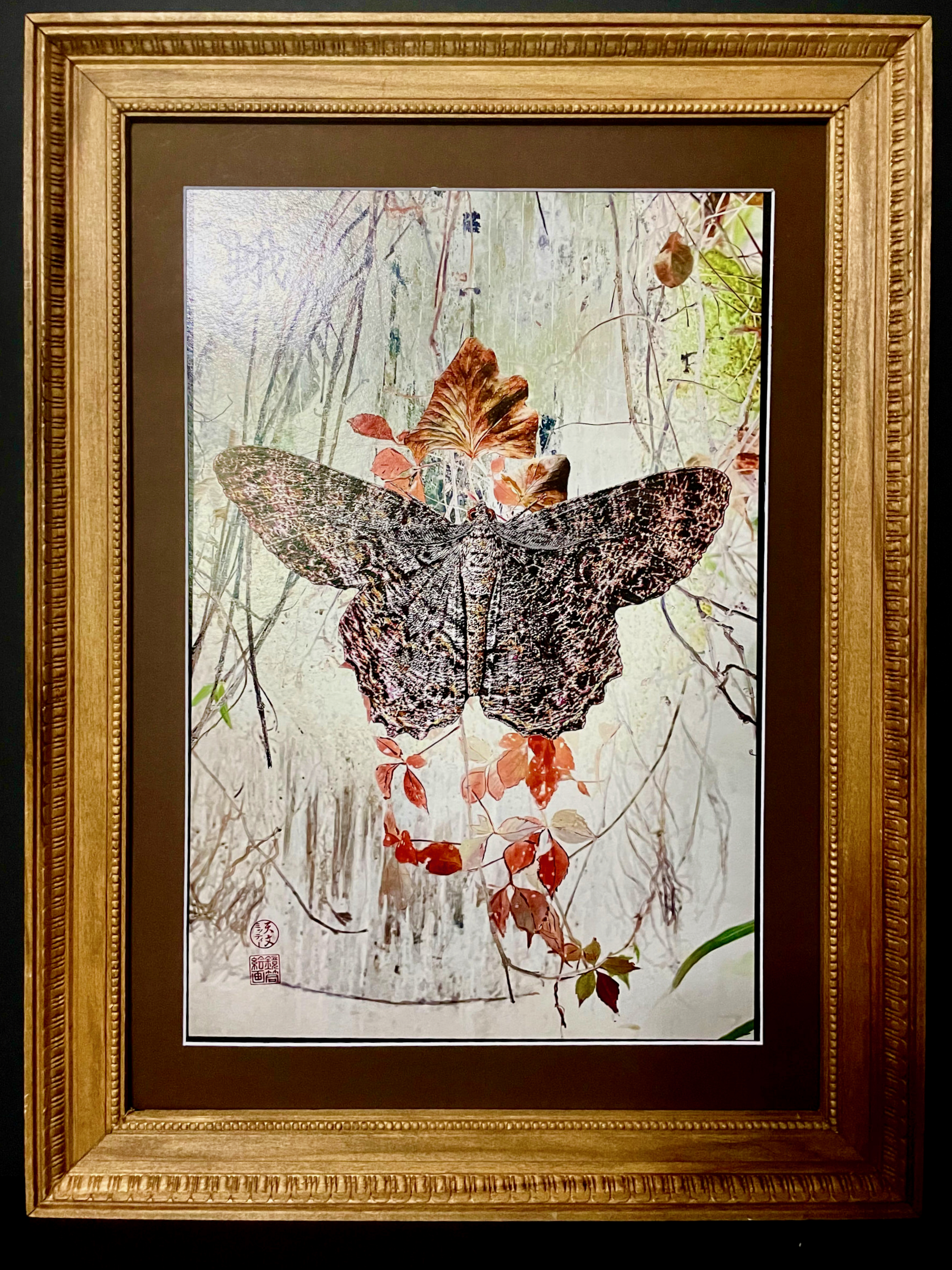 "Moth" Framed Art Print